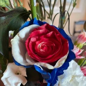 Meet your Posher, Tom